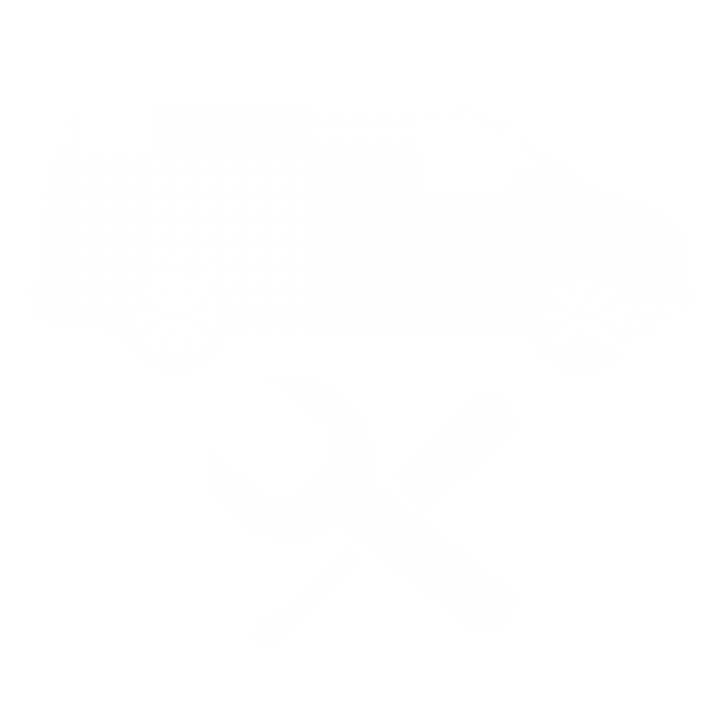 Servis dostavnih vozila